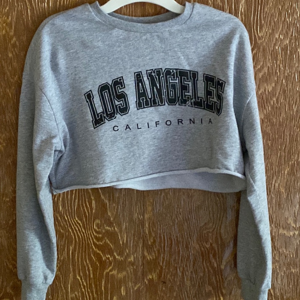 A gray cropped long sleeve tee! It has never been worn!